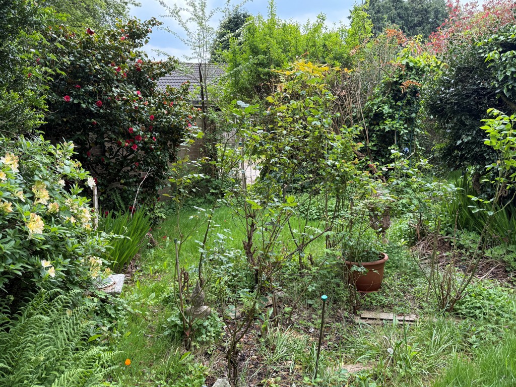 Lot: 64 - DETACHED FREEHOLD PROPERTY WITH THREE VACANT FLATS AND GARAGES - Rear garden with trees and flower borders